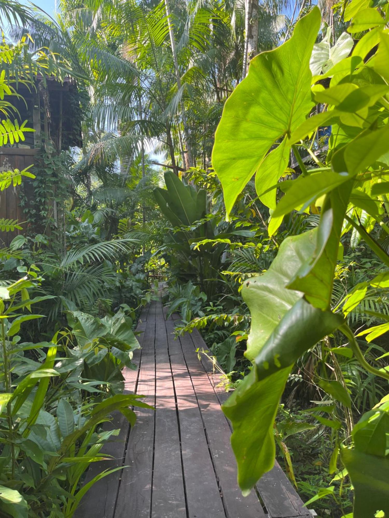 Olaria River Hostel Belem  Exterior photo