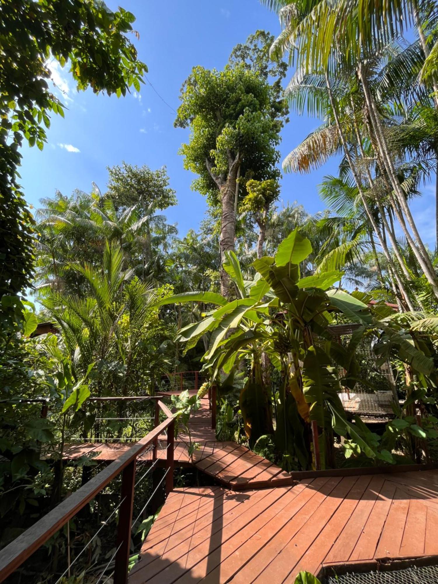 Olaria River Hostel Belem  Exterior photo